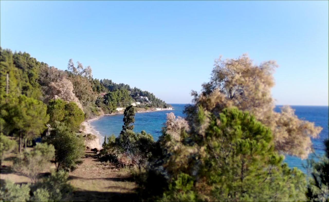 Ihouse Nea Skioni Bagian luar foto